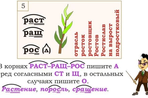 Как выводить деньги с кракена